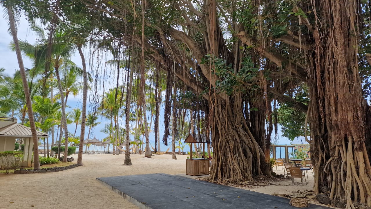 Strand Lagoon Attitude - Adults only