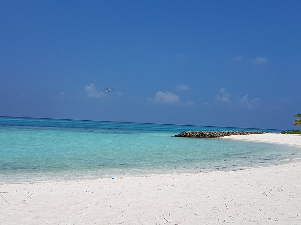 Strand Summer Island Maldives