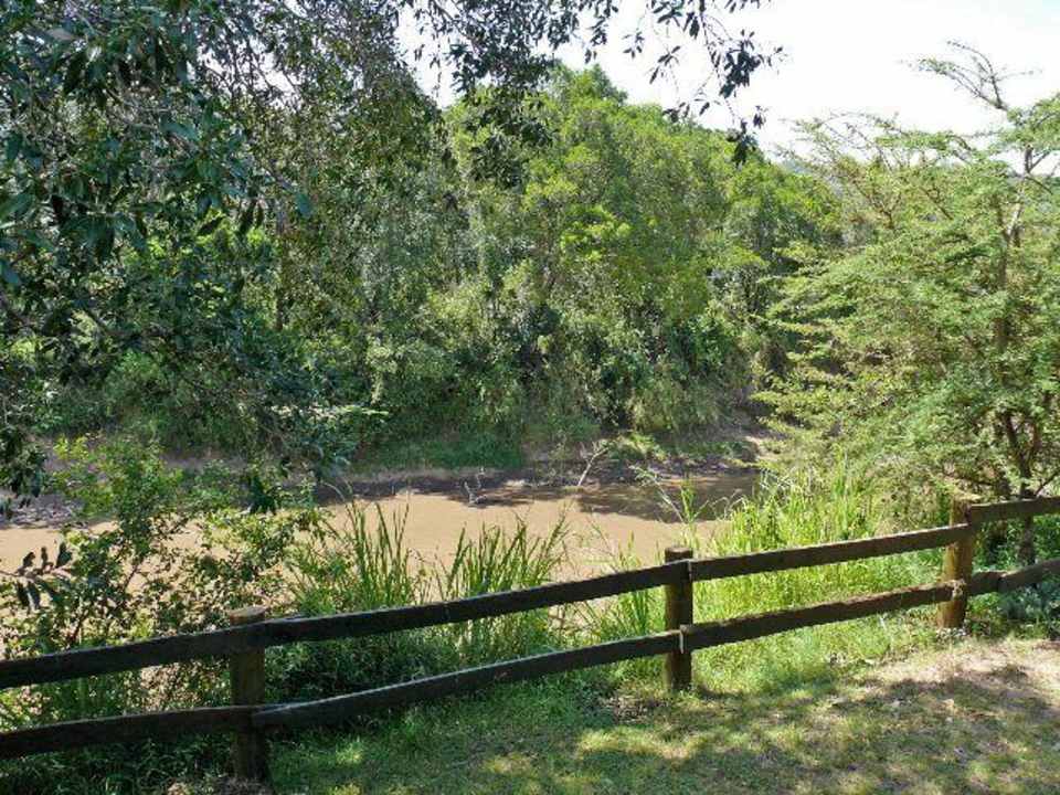 Aussicht von der Veranda Royal Mara Safari Lodge