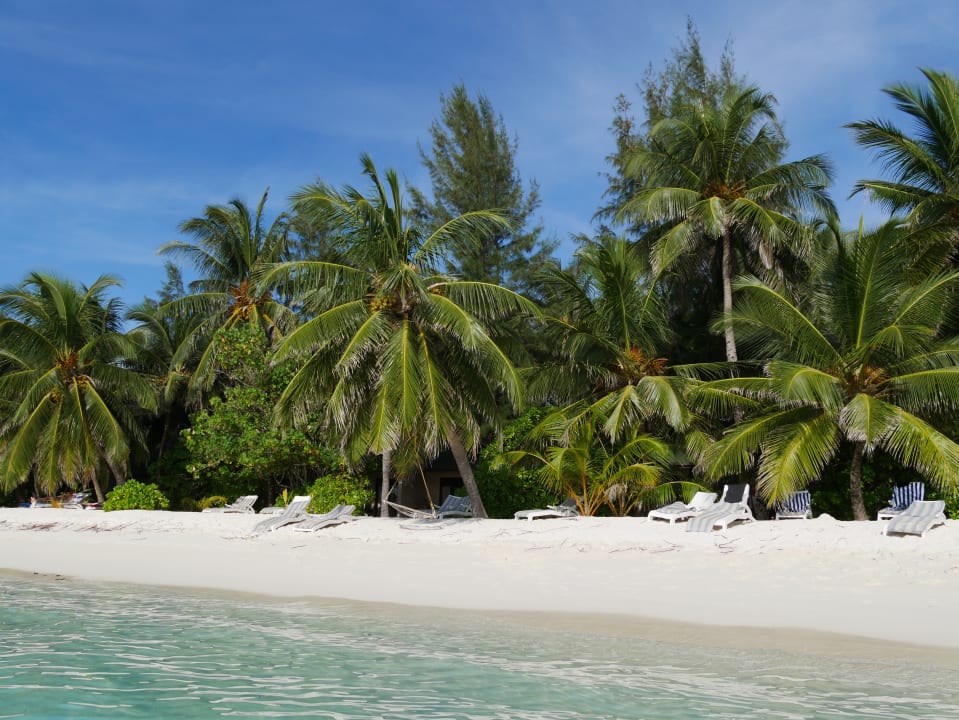 Strand Summer Island Maldives