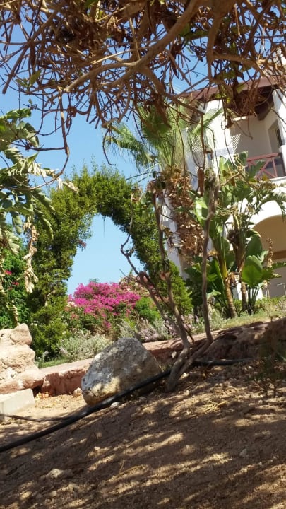 Droga nad morze Amphoras Blu