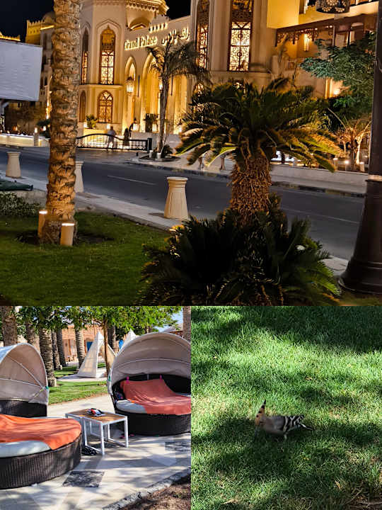 Strand The Grand Palace - Adults only