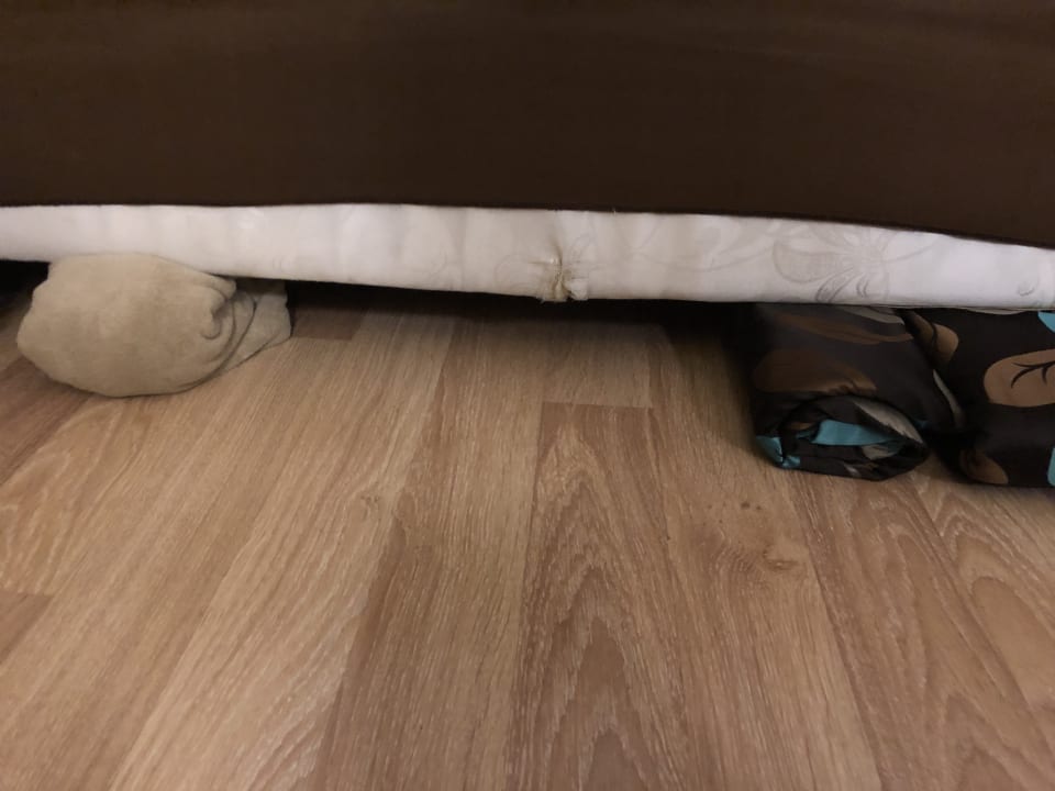 Zimmer Dizalya Palm Garden