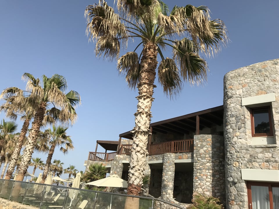 Ausblick Ikaros Beach Luxury Resort & Spa - Adults Only