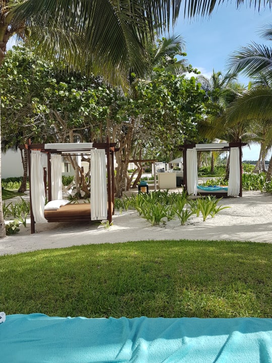 Die bequemsten Liegen Akumal Bay Beach & Wellness Resort