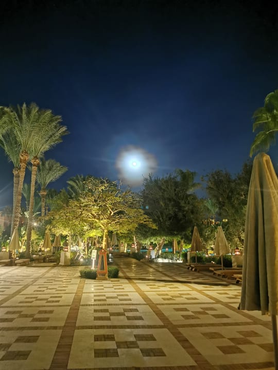 Gartenanlage Makadi Palace