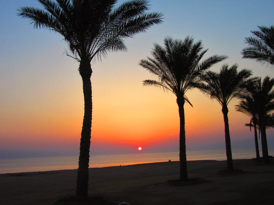 Morgens 5 Uhr  Steigenberger Coraya Beach - Adults only