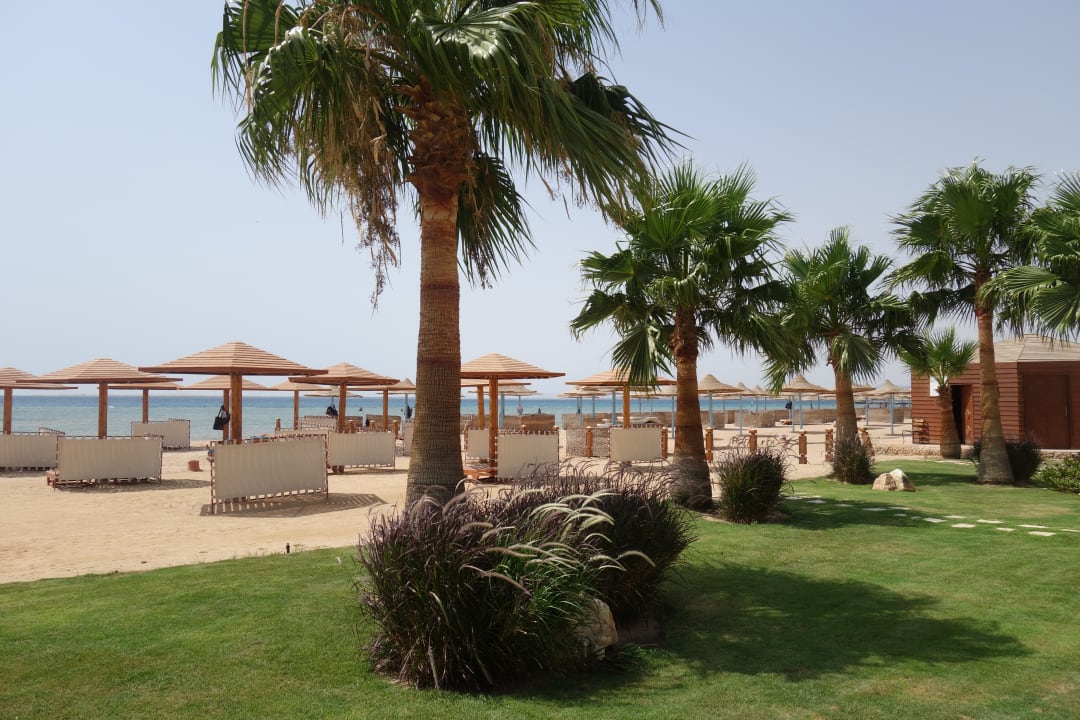 Strand Shams Prestige Abu Soma-Adults Only