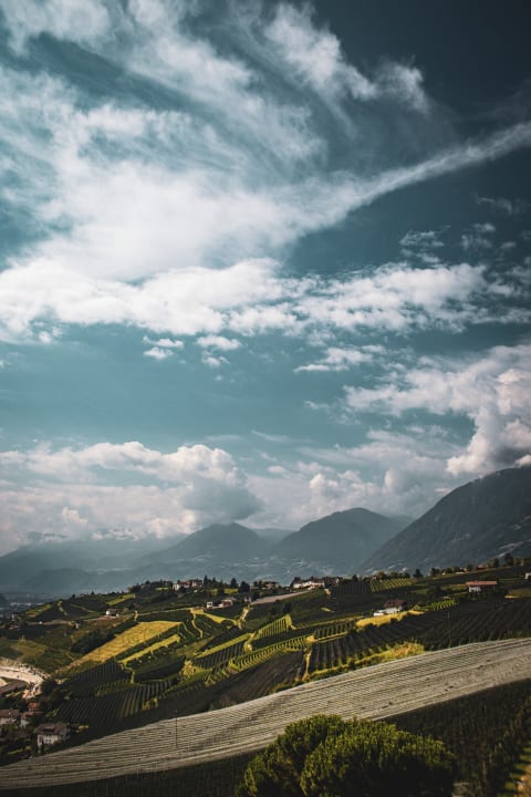 Ausblick Hotel Golserhof