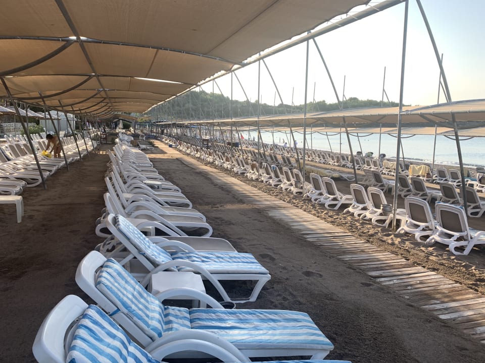 Strand Arycanda Kirman Premium