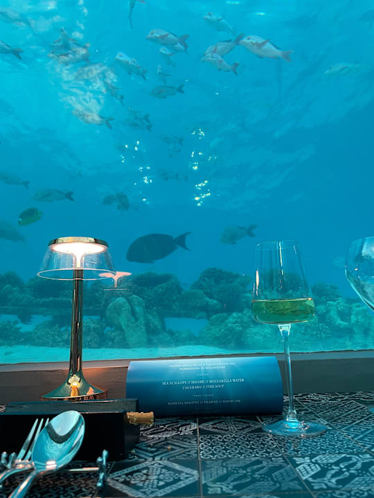 Sonstiges You & Me Maldives - Adults Only - Premium All-Inclusive