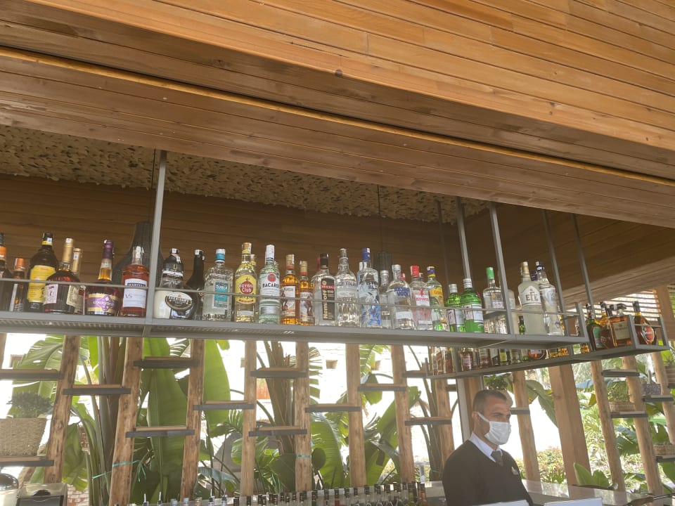 Sonstiges Arum Barut Collection