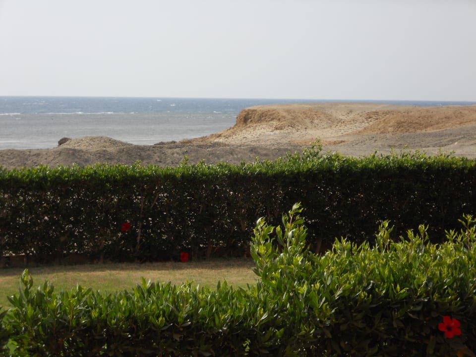 Widok z pokoju Malikia Resort Abu Dabbab