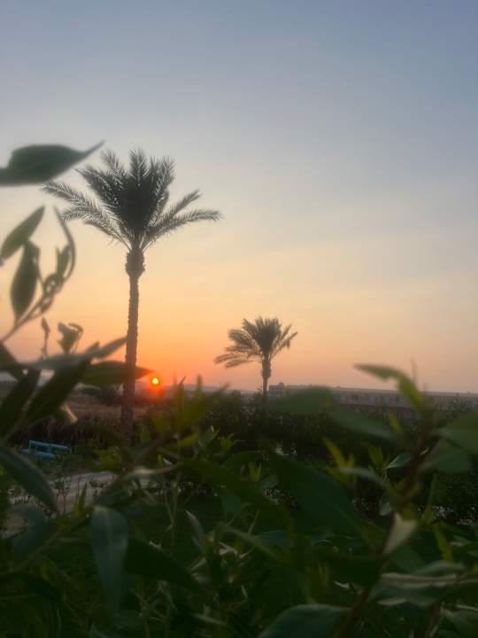 Gartenanlage Three Corners Equinox Beach Resort