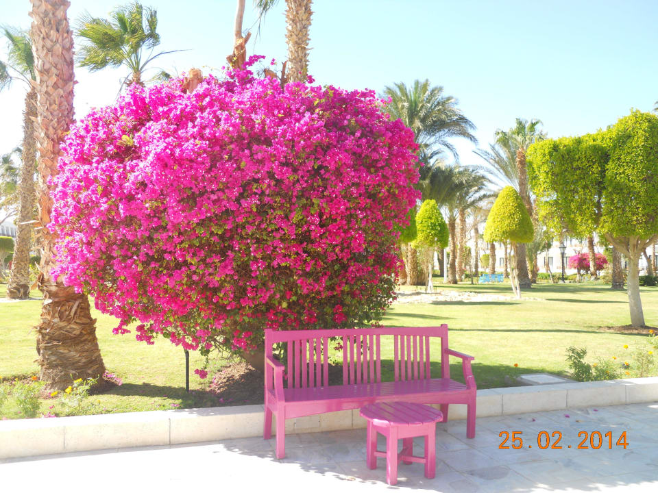 Ansicht The Grand Hotel Hurghada