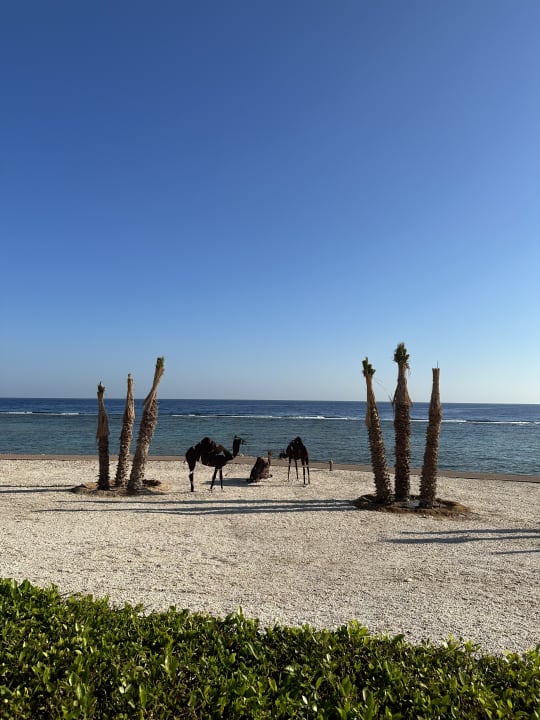 Strand Mövenpick Resort El Quseir