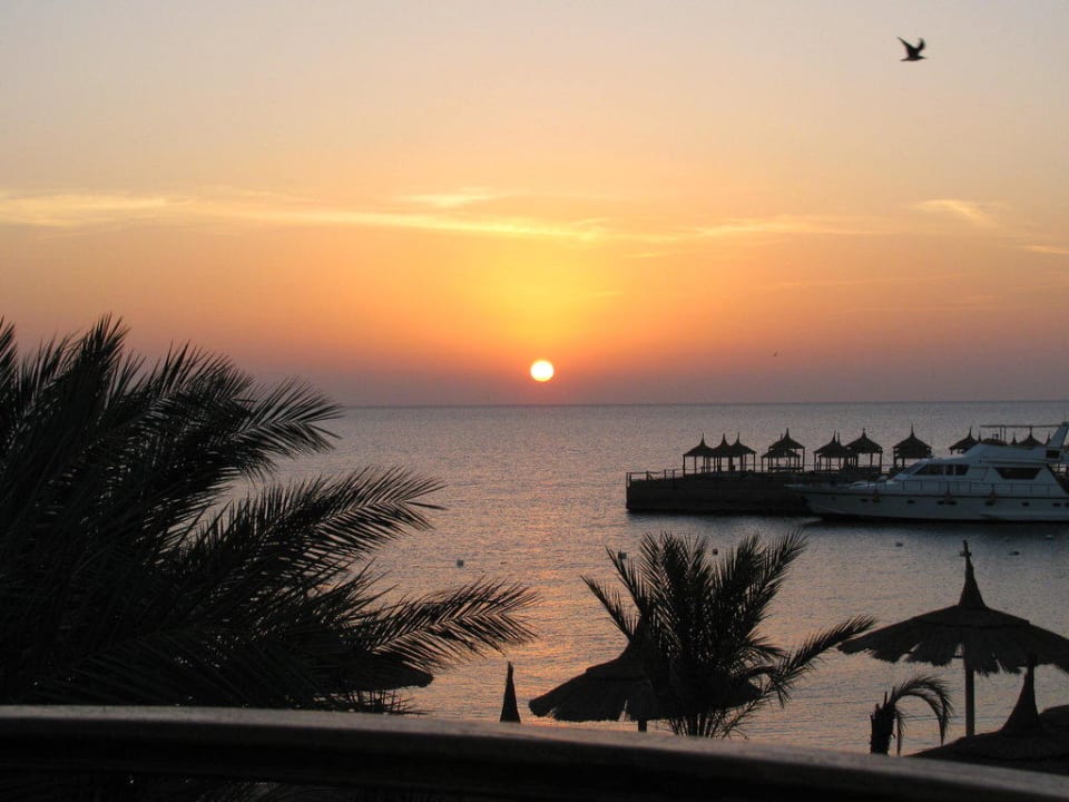 Sonnenaufgang Beach Albatros Resort