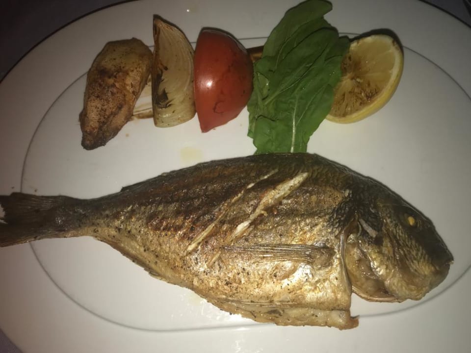 Gastro TUI MAGIC LIFE Beldibi +16