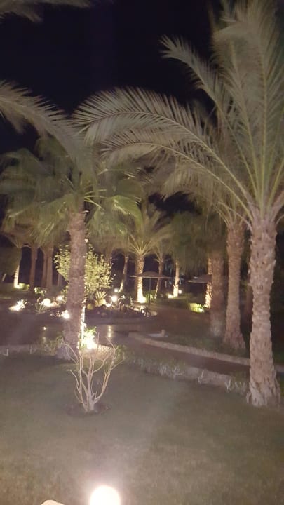 Gartenanlage zum Strand  Golden Beach Resort