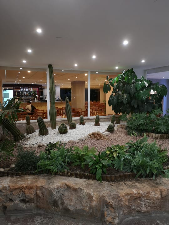 Sonstiges BQ Belvedere Hotel
