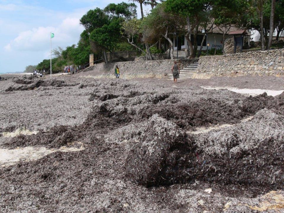 Strand kann man dazu nicht sagen Kaskazi Beach Resort