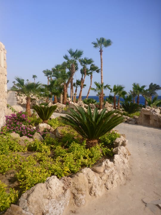Gartenanlage Pickalbatros Citadel Resort