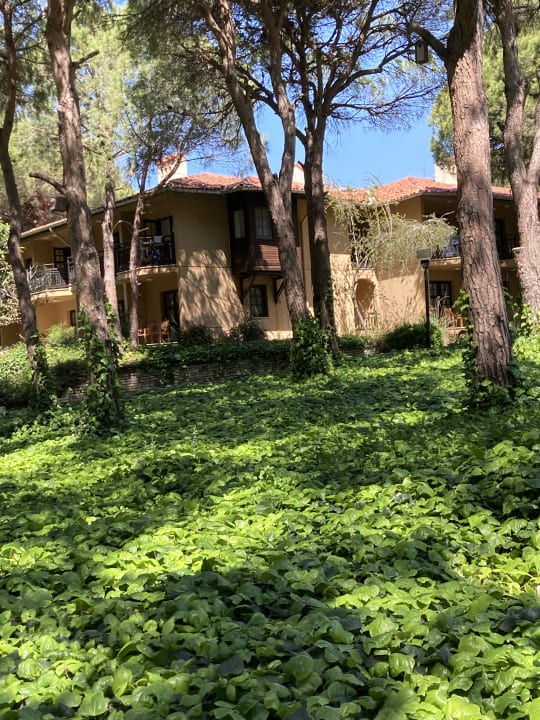 Gartenanlage Asteria Family Belek