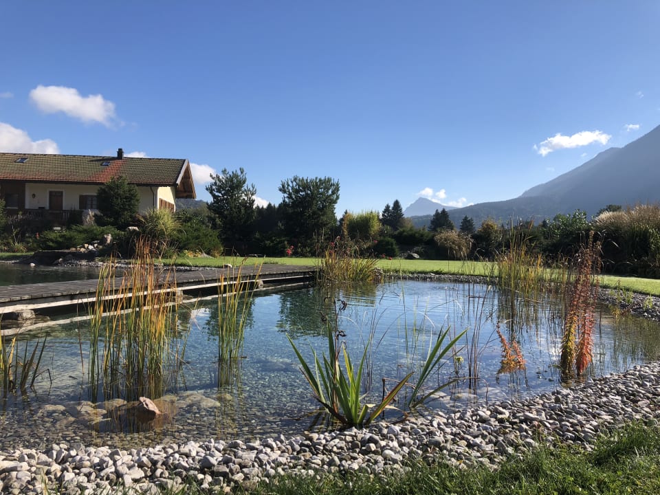 Pool Gasthaus Zeller Hof