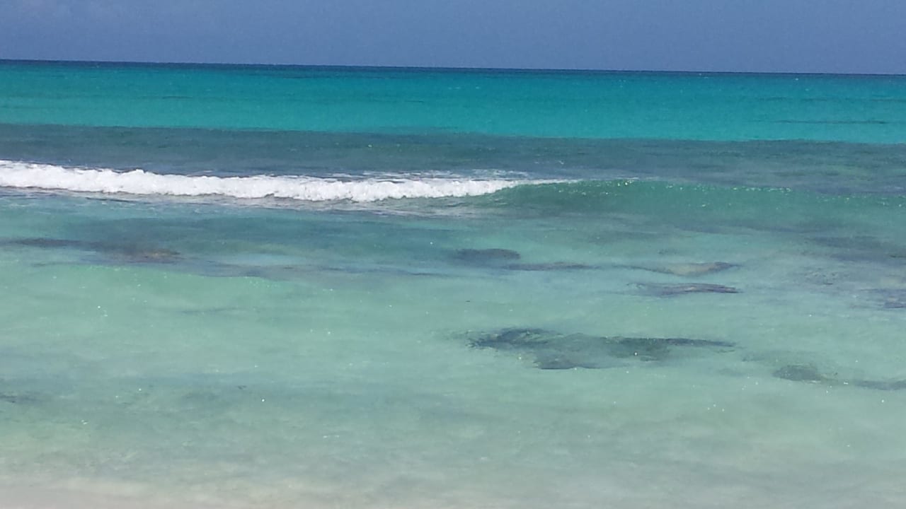 Traumhaftes Wasser Iberostar Waves Paraiso Beach