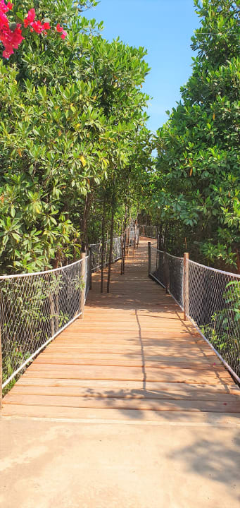 Gartenanlage Reef & Beach Resort