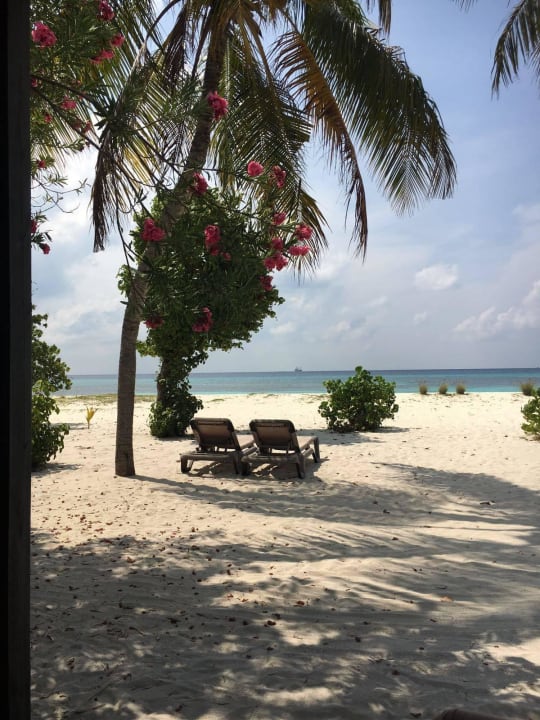 Villa Kuredu Island Resort & Spa