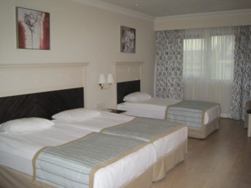 Zimmer ohne Balkon Aydinbey Kings Palace & Spa