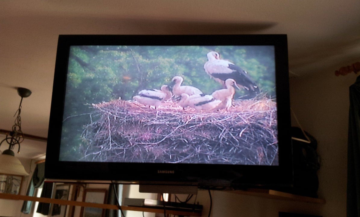 Übertragung ins Restaurant Landhotel Storchenkrug