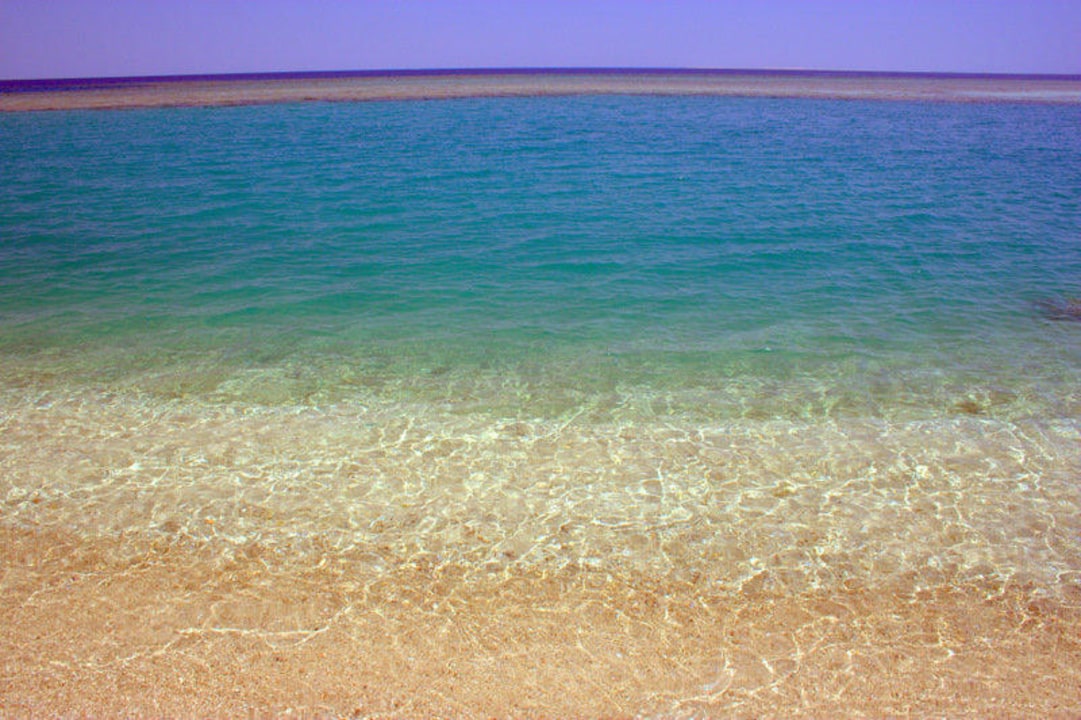 Сказочное Красное море Shams Alam Beach Resort