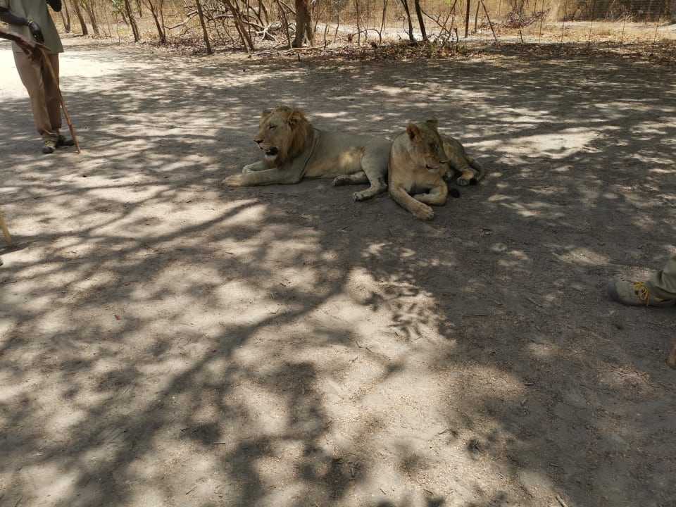 Sonstiges TUI BLUE Tamala