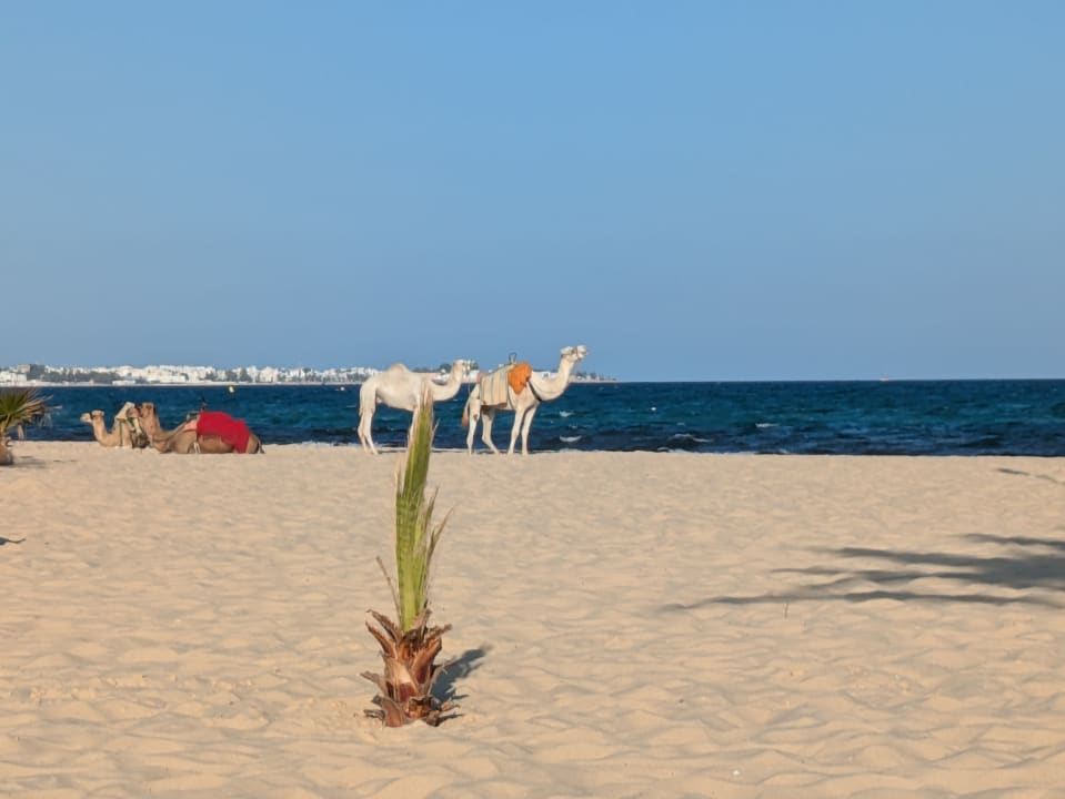Strand Hotel Paradis Palace