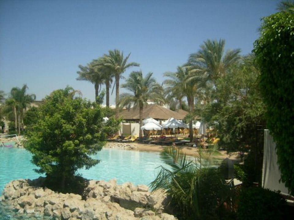 Pool Ghazala Gardens