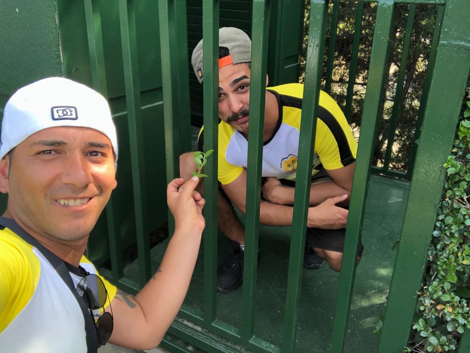 Animation Can Garden Beach