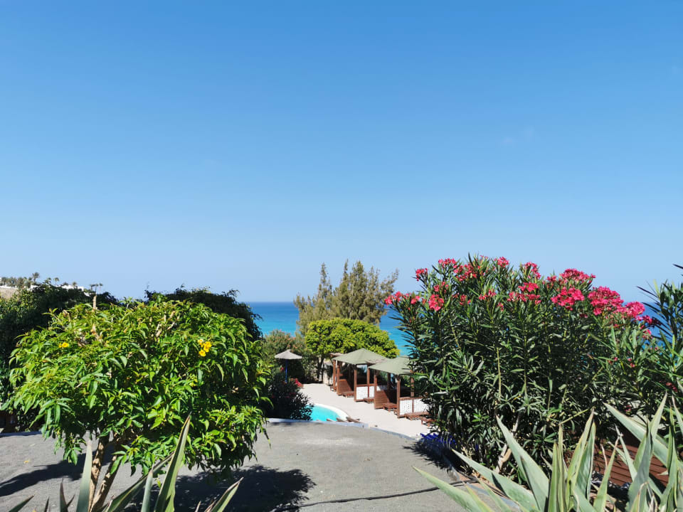 Pool Marina Playa Suite Hotel