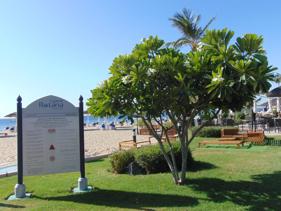 Strand Fujairah Rotana Resort & Spa