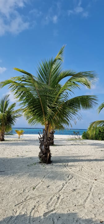 Ausblick Adaaran Select Meedhupparu Island Resort - Premium All Inclusive