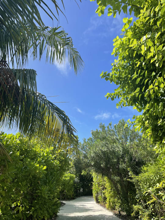 Gartenanlage ROBINSON NOONU