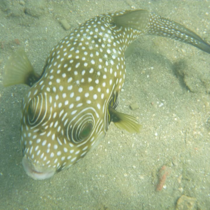 Strand Brayka Bay Resort