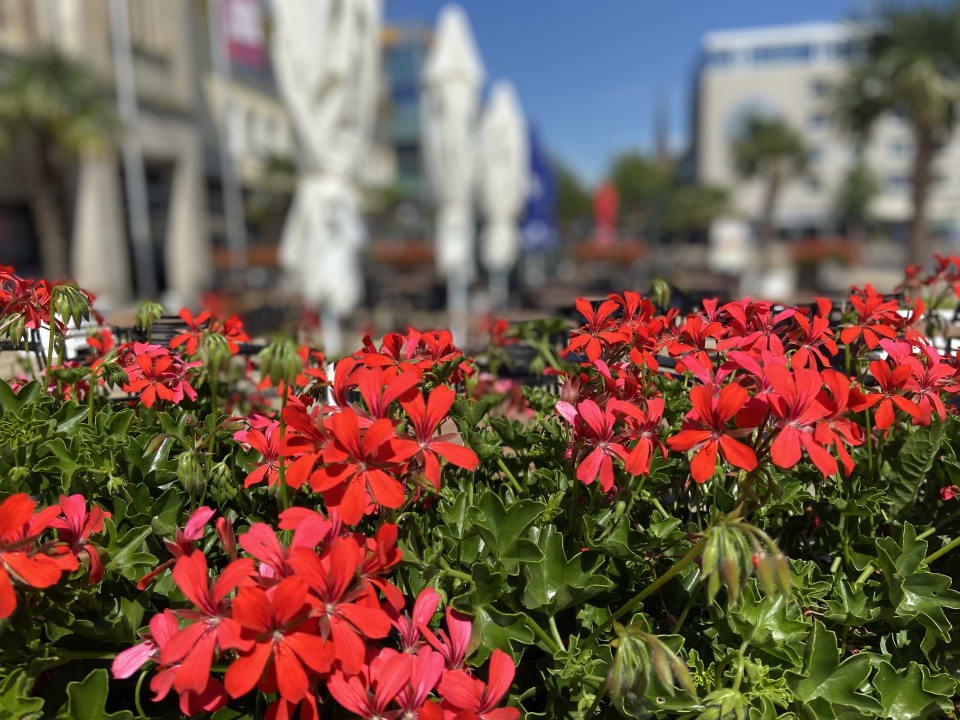 Gartenanlage THE LIBERTY Hotel Bremerhaven, BW Signature Collection