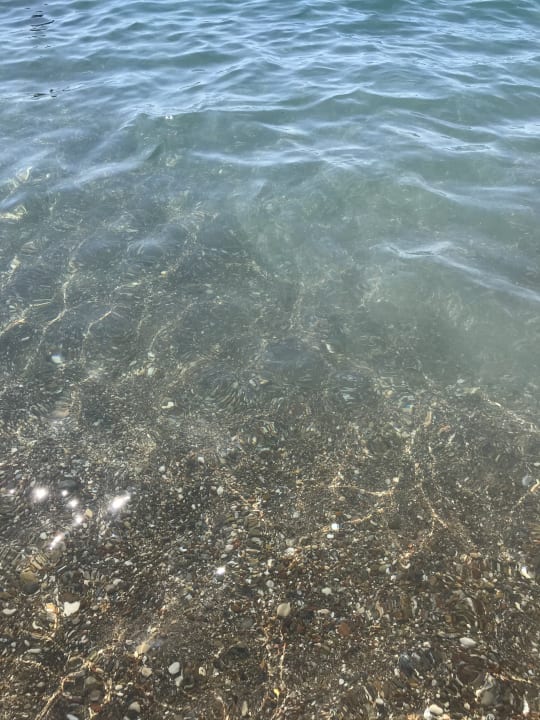 Strand Arycanda Kirman Premium