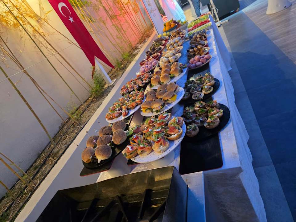 Gastro Seashell Vega