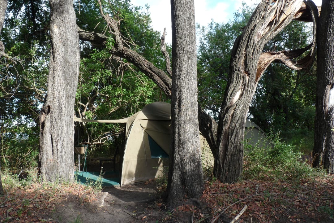 Natur pur Gcadikwe Island Camp