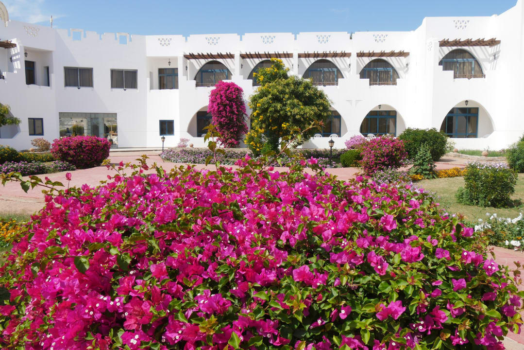 Gartenanlage Three Corners Equinox Beach Resort