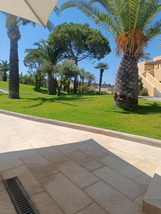 Gartenanlage Hotel Horizon Beach Resort