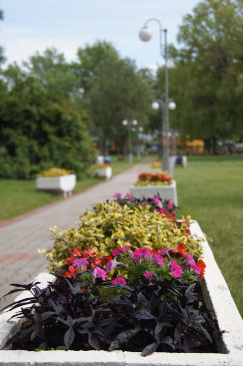 Mit Blick in den Garten Danubius Hotel Marina